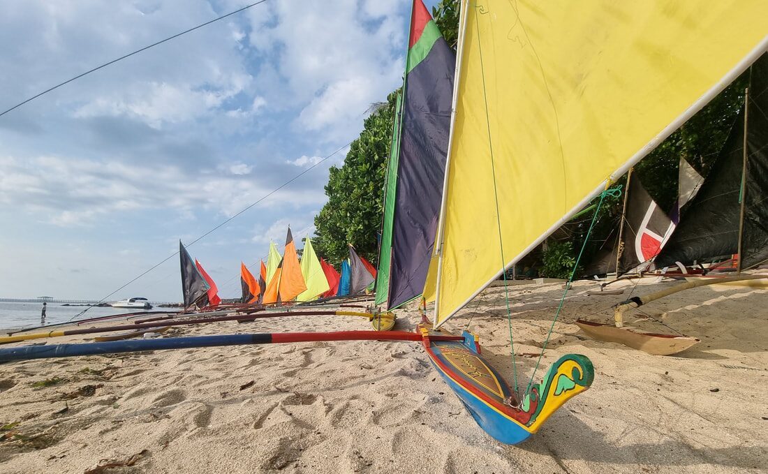 A lineup of jong sails on the beach with trees behind