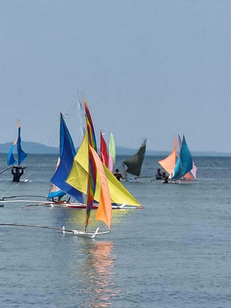 A cluster of jongs sailing together on the water