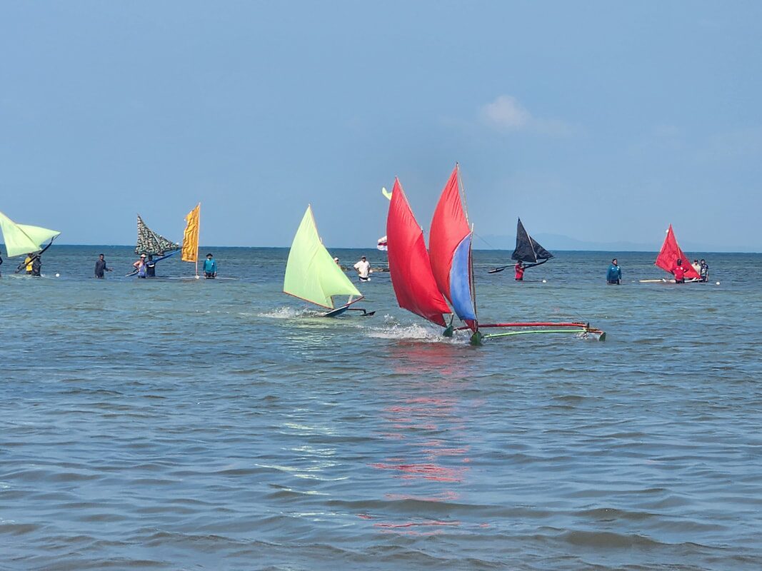 Jongs racing together, sails catching the wind