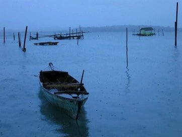 Penyengat, 2013 — photo 31