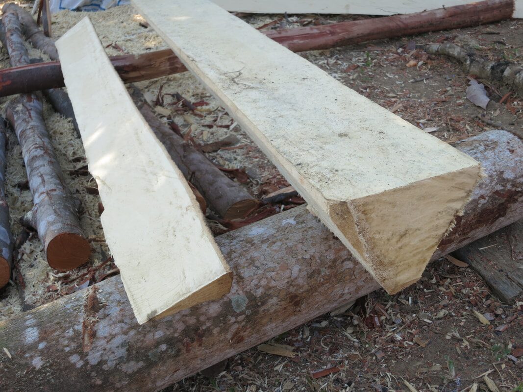 Freshly cut pale timber planks resting on rough-hewn logs at a wood yard