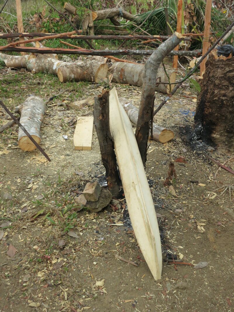A pale carved jong hull leaning against a burnt tree stump, logs and a plank scattered on the ground nearby