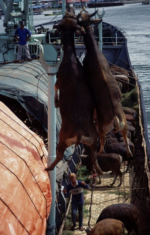 Ships in Indonesia, 1992-2012 — photo 8