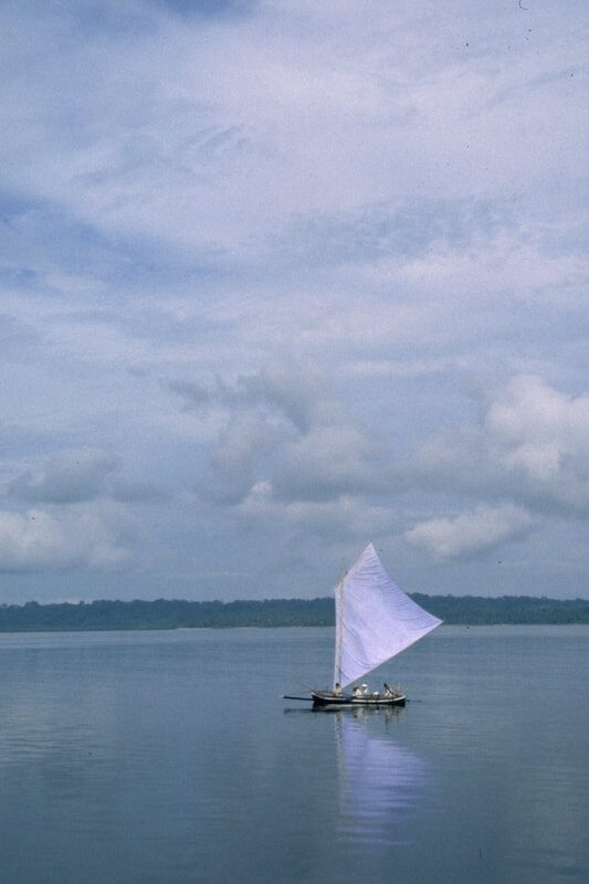 Jong racing in action — photo 150
